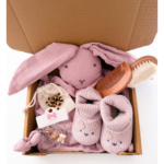 Kız Bebek Hediye Seti
